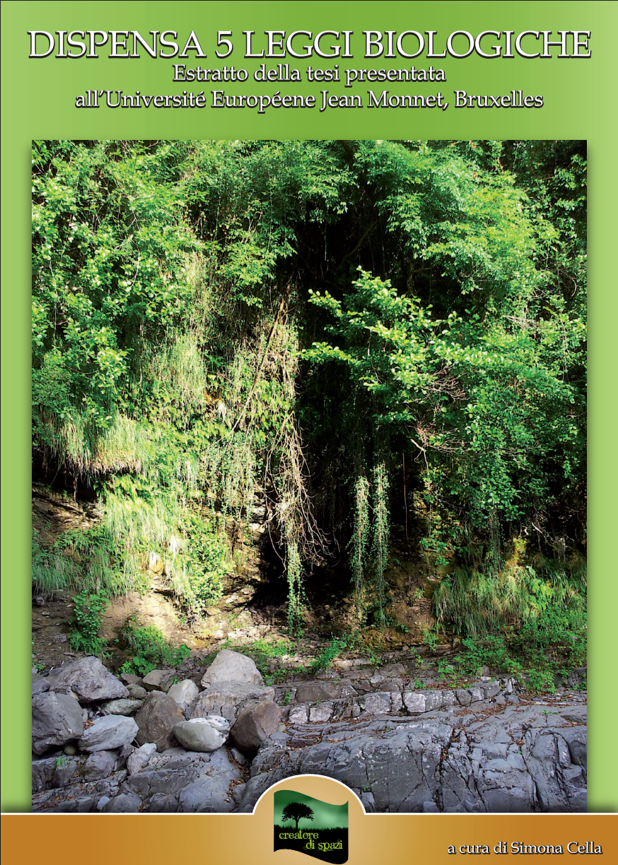Pasted image 20260504151325.png|400